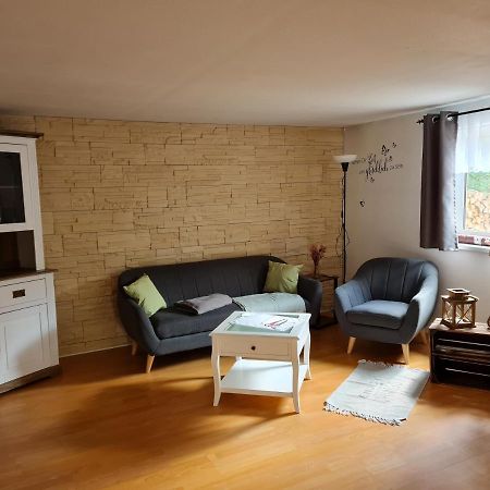 Willa Haus Steindoebra Klingenthal Zewnętrze zdjęcie