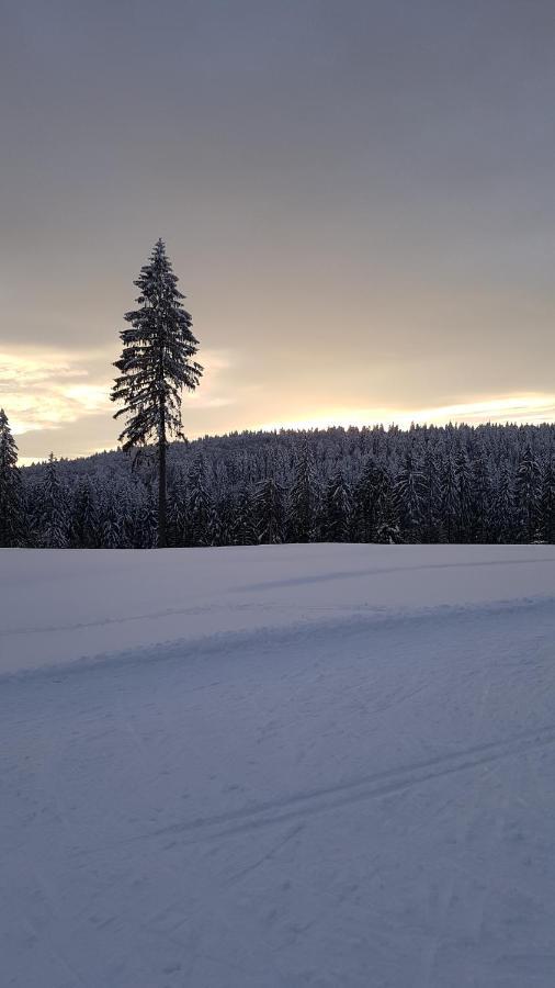 Willa Haus Steindoebra Klingenthal Zewnętrze zdjęcie