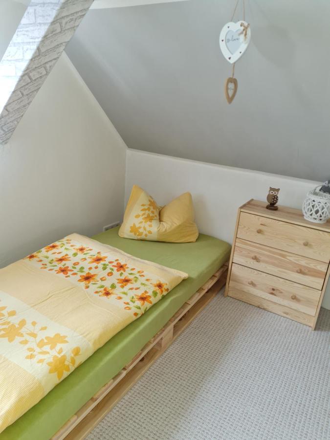 Willa Haus Steindoebra Klingenthal Zewnętrze zdjęcie