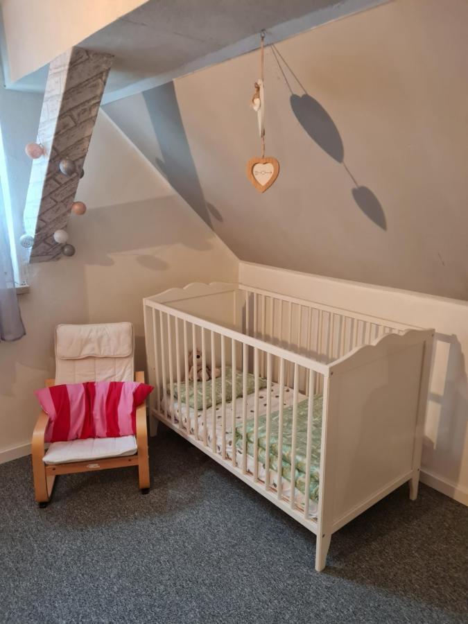 Willa Haus Steindoebra Klingenthal Zewnętrze zdjęcie